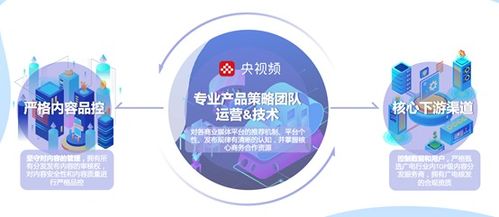 中央廣播電視總臺 版權運營與媒資開發，打造全終端產品渠道，拓展全維度產品價值